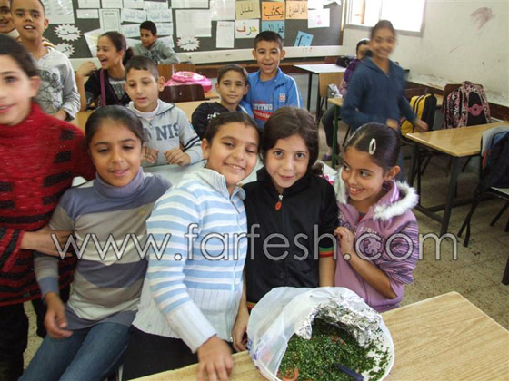 المدرسة الابتدائية 