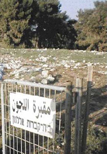 العليا: الأحراش وسيلة استيطان ولا يحق لأصحاب الاراضي استرجاعها صورة رقم 1