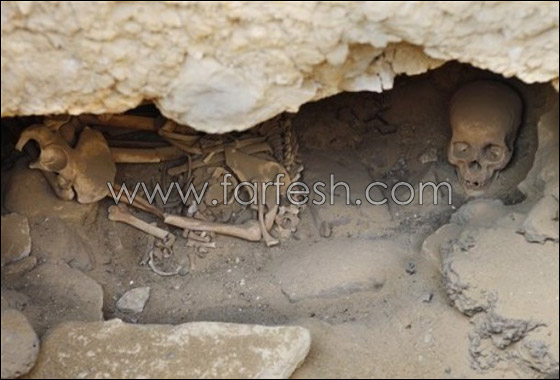 كشف أثري يثبت من هم بناة الأهرام!! صورة رقم 6 كشف أثري يثبت من هم بناة الأهرام!! صورة رقم 6