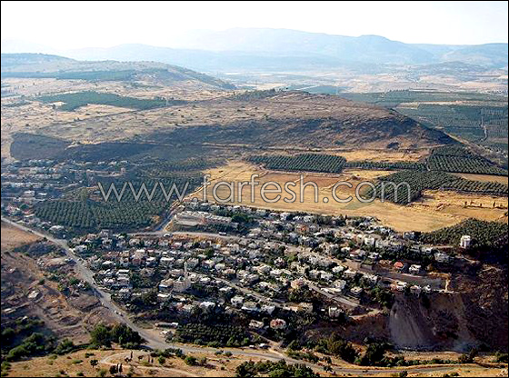 النائبة زعبي: 