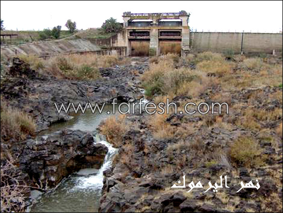 النائبة زعبي: 