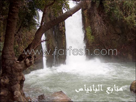 النائبة زعبي: 