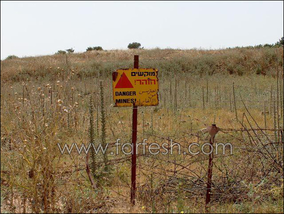 النائبة زعبي: 