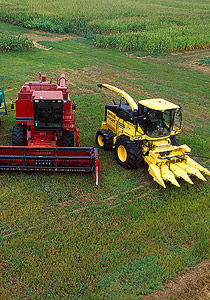 ما هي المخاطر الاقتصادية لعام 2010؟!! صورة رقم 1