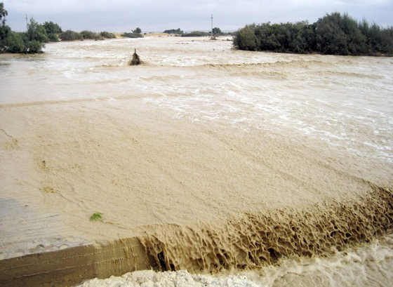 وفيات في سيناء بسبب الأحوال الجوية وإغلاق 5 مرافئ مصرية صورة رقم 1