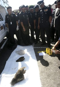 إلقاء رؤوس خنازير على مساجد ماليزية  صورة رقم 1