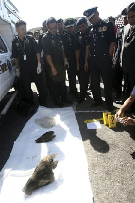 إلقاء رؤوس خنازير على مساجد ماليزية  صورة رقم 4