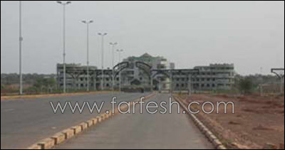 700 طن من المساعدات الاماراتية لقطاع غزة صورة رقم 1