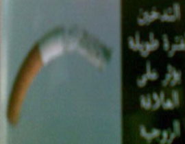 وزارة الصحة المصرية ترهب المدخنين بخطر العجز باقامة علاقة زوجية! صورة رقم 1 وزارة الصحة المصرية ترهب المدخنين بخطر العجز باقامة علاقة زوجية! صورة رقم 1