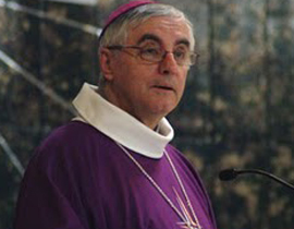 الكنيسة الكاثوليكية: على فرنسا احترام مسلميها  وعدم حظر النقاب    صورة رقم 1