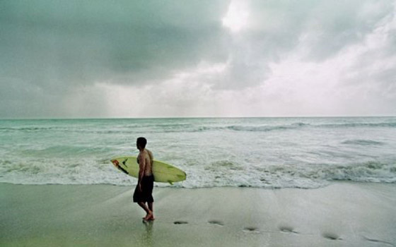 اسماك القرش تقضي على الرياضي هوارد صورة رقم 4 اسماك القرش تقضي على الرياضي هوارد صورة رقم 4