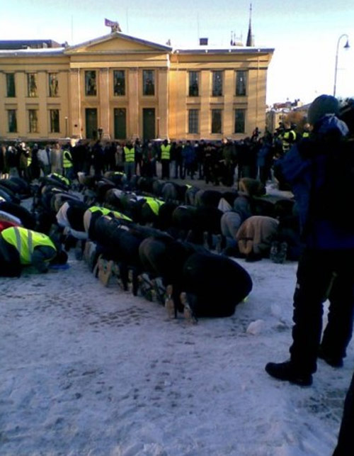 أوسلو: إحتجاج 3000 مسلم على الرسوم المسيئة للرسول        صورة رقم 6