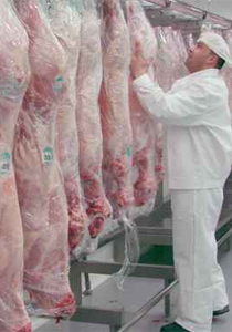 في مصر في مصر