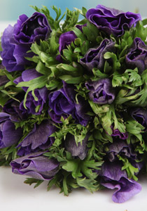 سلكوم في خطوة خاصة بالوسط العربي: 