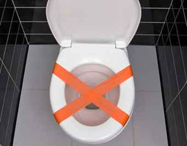 ممنوع دخول الرجال إلى مراحيض الطائرة! صورة رقم 1 ممنوع دخول الرجال إلى مراحيض الطائرة! صورة رقم 1