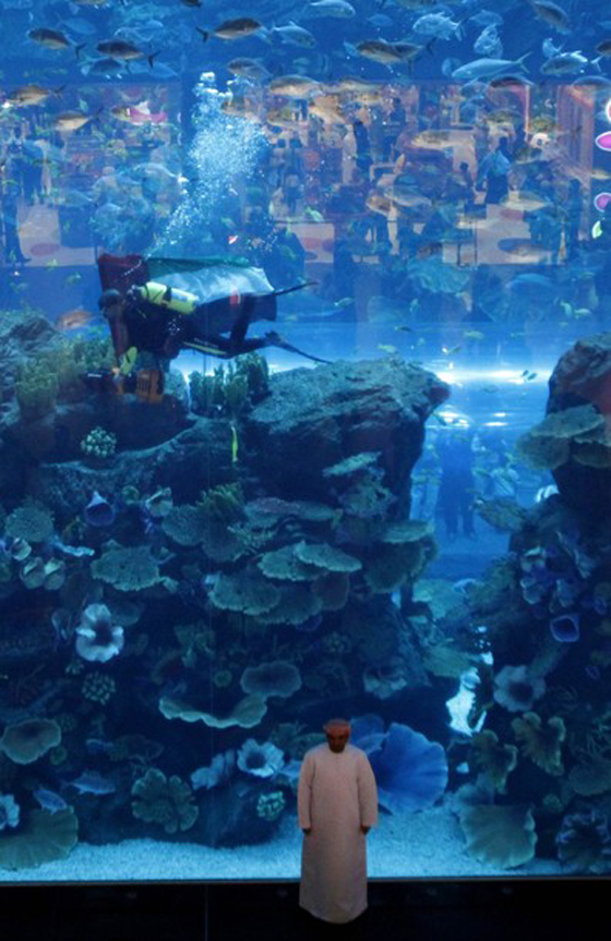  شرخ في حوض الأسماك في دبي وتسرب المياه إلى دبي مول!!        صورة رقم 7