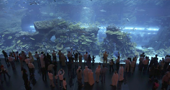  شرخ في حوض الأسماك في دبي وتسرب المياه إلى دبي مول!!        صورة رقم 6