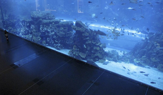  شرخ في حوض الأسماك في دبي وتسرب المياه إلى دبي مول!!        صورة رقم 5