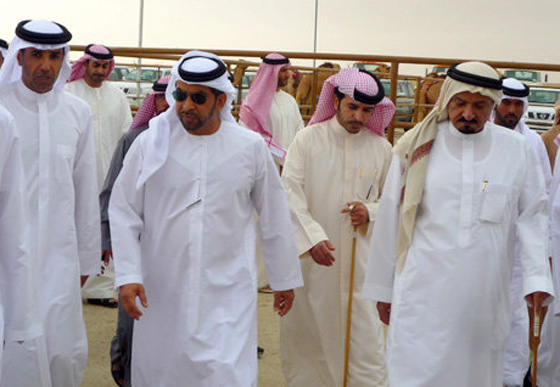 الإمارات تجمع قبائلها بمسابقة جمال الإبل !!  صورة رقم 11