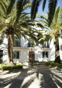 عدوى التحرش النوعي في الكنائس الكاثوليكية تنتقل إلى هولندا! صورة رقم 1