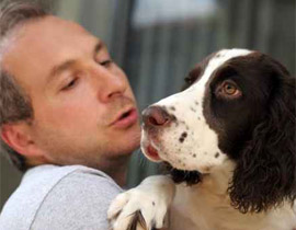 قانون يمنع تسيّب الكلاب في بريطانيا! صورة رقم 1 قانون يمنع تسيّب الكلاب في بريطانيا! صورة رقم 1