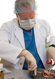  إقرار قانون زرع الأعضاء في مصر رغم معارضة 86 نائبا! صورة رقم 1