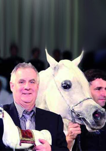 اللهب.. أجمل جواد عربي‏ صورة رقم 1