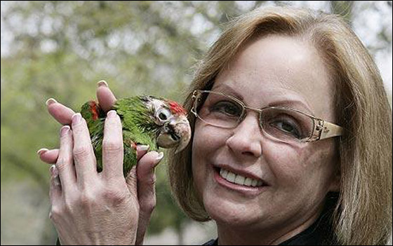 بعد علاج مكلف بـ75 الف دولار.. وفاة ببغاء بمرض السرطان صورة رقم 1 بعد علاج مكلف بـ75 الف دولار.. وفاة ببغاء بمرض السرطان صورة رقم 1