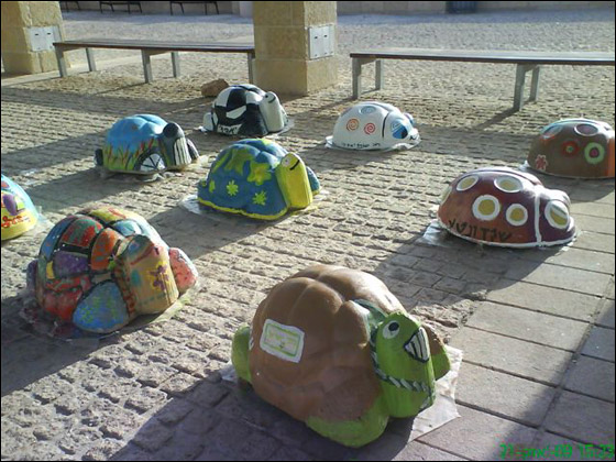 البيئة والجودة يلتقيان في دودج سنتر  صورة رقم 3