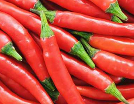 إختراع قنبلة يدوية من الشطة لمحاربة الإرهاب! صورة رقم 1