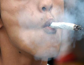 اقتراع في كاليفورنيا على اقتراح يجيز حيازة وبيع الماريجوانا!! صورة رقم 1 اقتراع في كاليفورنيا على اقتراح يجيز حيازة وبيع الماريجوانا!! صورة رقم 1