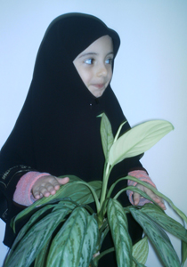 قناة الإسلام البريطانية: المرأة التي تتعطر في الأماكن العامة زانية!    صورة رقم 1