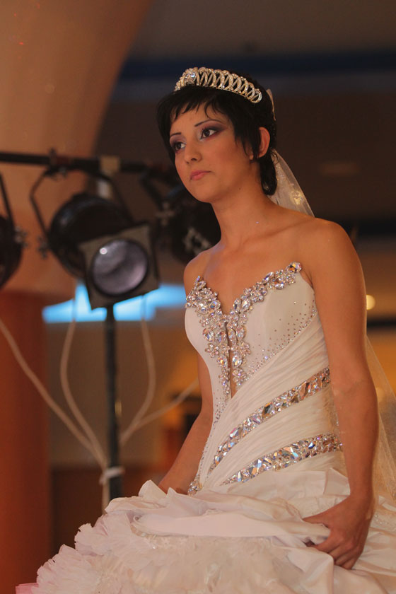 نجاح كبير لمهرجان العرسان في عيلبون بمبادرة هيثم بطحيش  صورة رقم 47