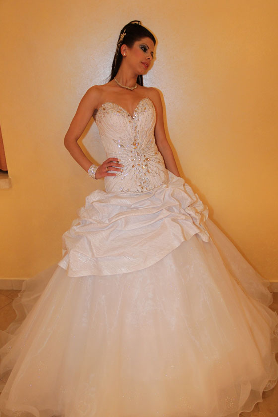 نجاح كبير لمهرجان العرسان في عيلبون بمبادرة هيثم بطحيش  صورة رقم 78