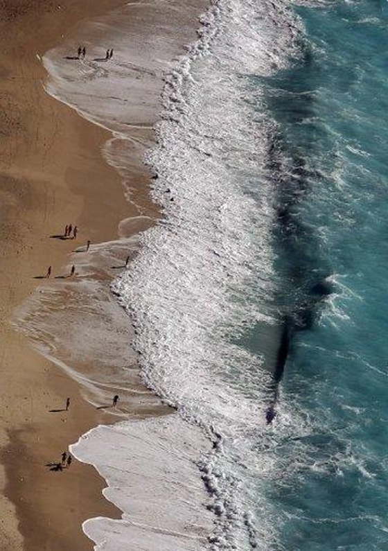 هل ستبيع اليونان جزرها لسداد ديونها؟!؟! صورة رقم 4 هل ستبيع اليونان جزرها لسداد ديونها؟!؟! صورة رقم 4