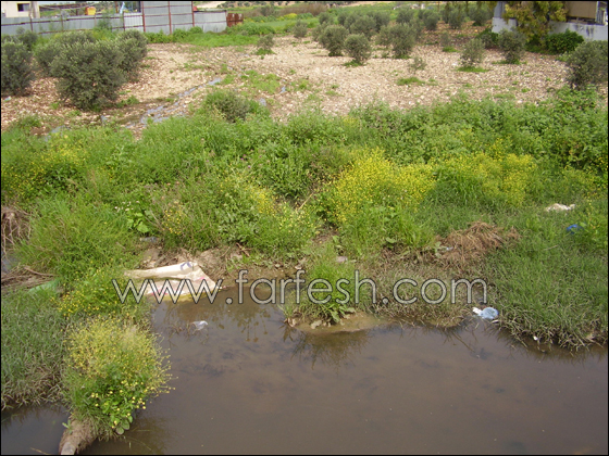 مياه المجاري تغرق شفاعمرو وعبلين!     صورة رقم 2