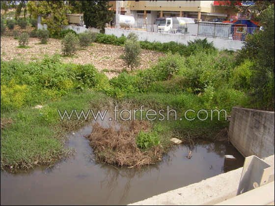 مياه المجاري تغرق شفاعمرو وعبلين!     صورة رقم 3