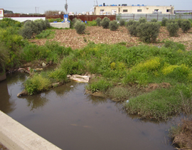 مياه المجاري تغرق شفاعمرو وعبلين!     صورة رقم 1