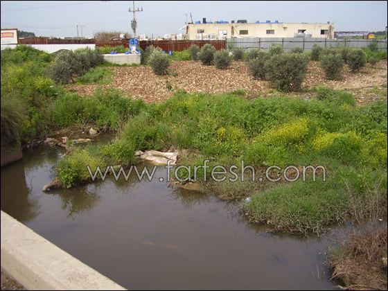 مياه المجاري تغرق شفاعمرو وعبلين!     صورة رقم 4