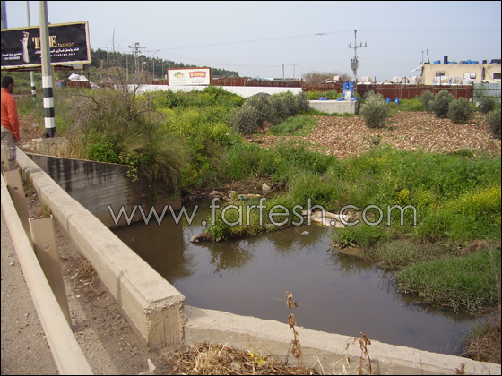 مياه المجاري تغرق شفاعمرو وعبلين!     صورة رقم 5