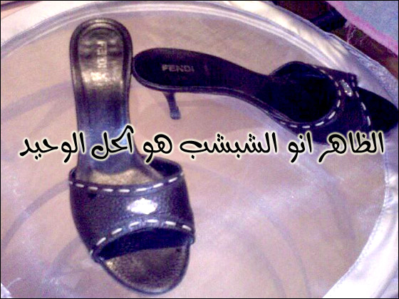 مهزلة في المدرسة: معلمة تضرب زميلتها بالشبشب أمام الطلاب صورة رقم 1