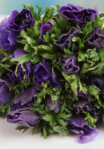 سلكوم تقدم باقة من الورود لجميع زبائنها ضمن 