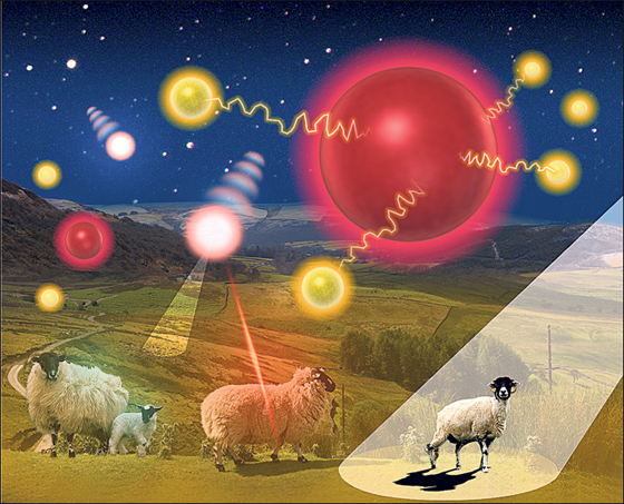 كائنات فضائية تعتدي على خراف بريطانيا وتنتزع أدمغتها وعيونها صورة رقم 2 كائنات فضائية تعتدي على خراف بريطانيا وتنتزع أدمغتها وعيونها صورة رقم 2