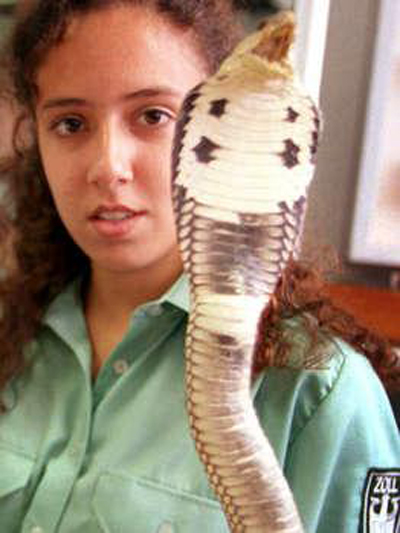 إخلاء بناية من سكانها واصطياد أفعى الكوبرا بطريقة مبتكرة!  صورة رقم 5