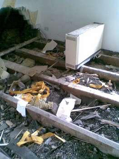 إخلاء بناية من سكانها واصطياد أفعى الكوبرا بطريقة مبتكرة!  صورة رقم 4