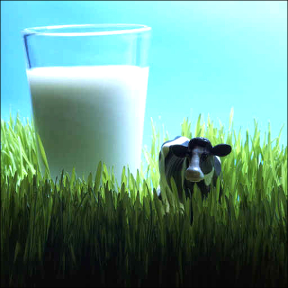 يوناني يطالب بـ 5.2 بسبب استغلال صوره للترويج لإعلان! صورة رقم 1 يوناني يطالب بـ 5.2 بسبب استغلال صوره للترويج لإعلان! صورة رقم 1