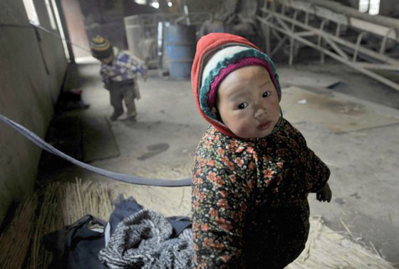 خوفا من خسارة العمل يربطون أولادهم بأحزمة وجنازير!!        صورة رقم 1