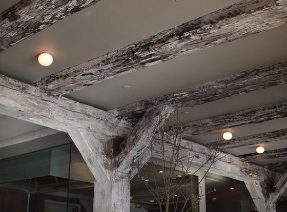 الدنمارك تطيح بإسبانيا وتحصد جائزتي أفضل الطهاة والمطاعم  صورة رقم 6