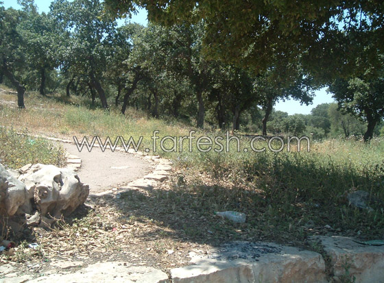 متنزه سولليم يعاني الاهمال  صورة رقم 4