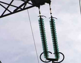 قتل اخيه صعقا بالكهرباء لانه تحرش بشكل فاحش  بعدد من الأطفال صورة رقم 1